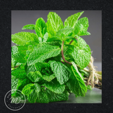 Boucherie Madina Daoudi - 
Menthe