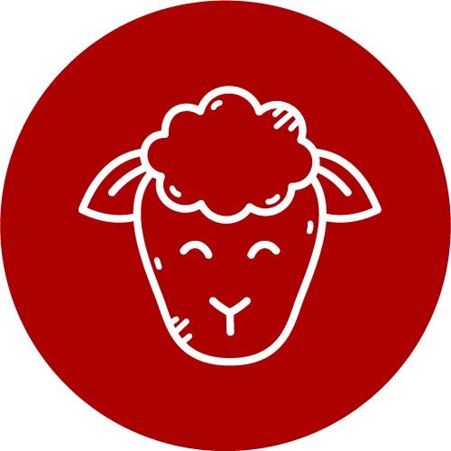 Agneau