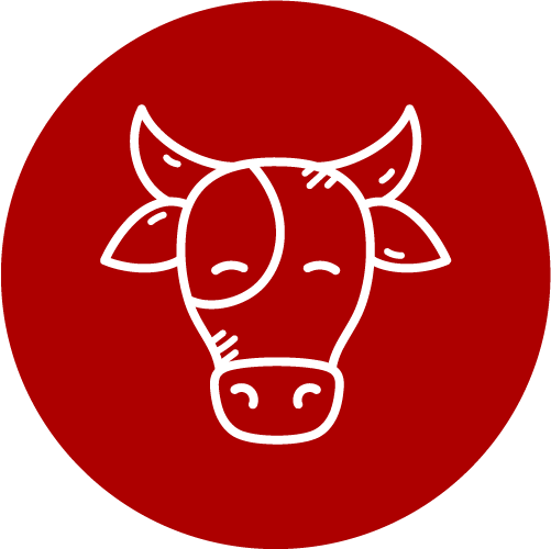 Boeuf