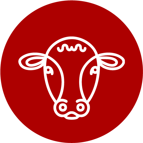 Veau