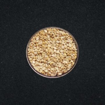 RECETTE Madina Daoudi - 
Feve cassée 0.750gr